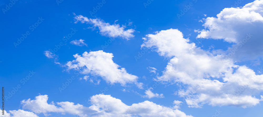 Fototapeta premium 青空と白い雲