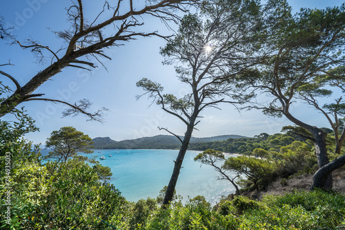 Beautiful Notre Dame beach  Plage Notre-Dame  on Porquerolles island  l   le de Porquerolles   France