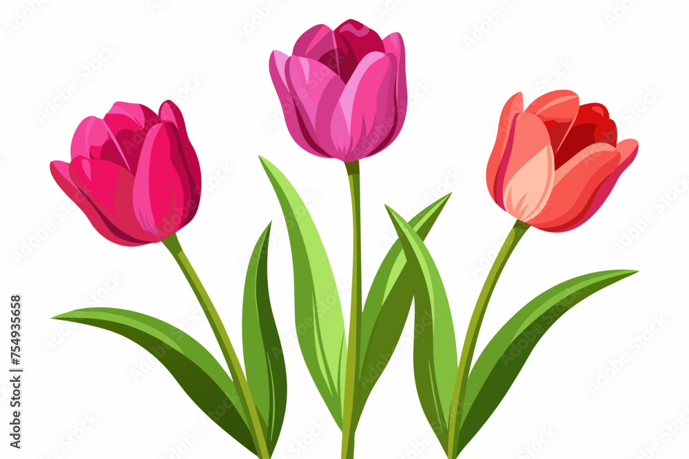 realistic tulips flower isolated illustration on w