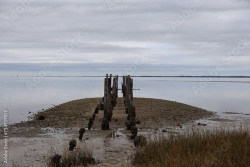 pier on the beach