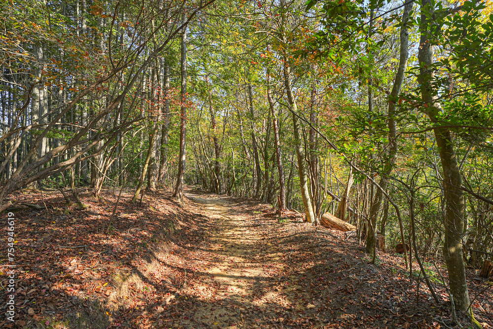 郡山城跡 郡山城跡