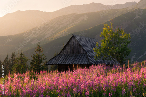 Old highlanders cottage in Tatra mountains Poland with colorful flowers and in Gasienicowa valley (Hala Gasienicowa), at warm summer morning