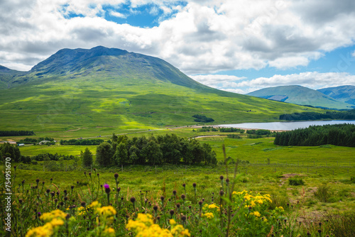 scenery of Loch Lomond at highlands in scotland  united kingdom