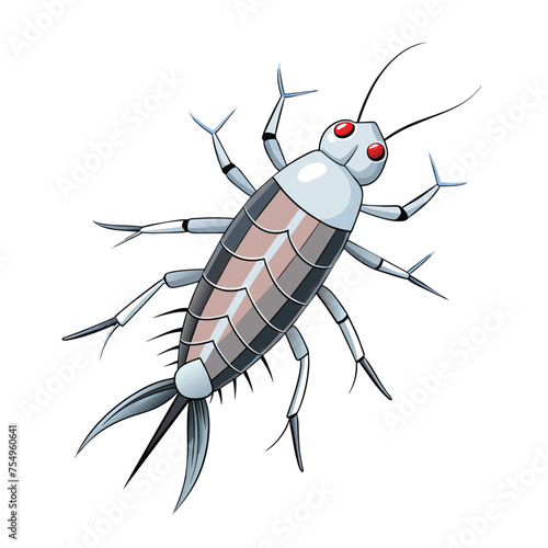 Silverfish isolated illustration on white background