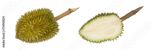 Durian fruit long section, weak fruit (60 days)