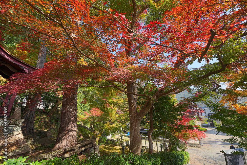 Naklejka premium 鳳源寺
