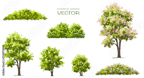 Vector watercolor green tree or forest side view isolated on white background for landscape and architecture drawing elements for environment or garden botanical element for exterior section in spring
