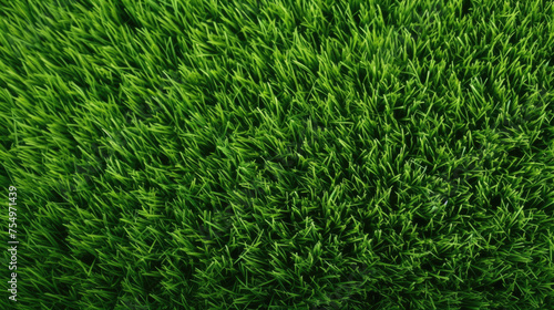 A close up of a green field of grass