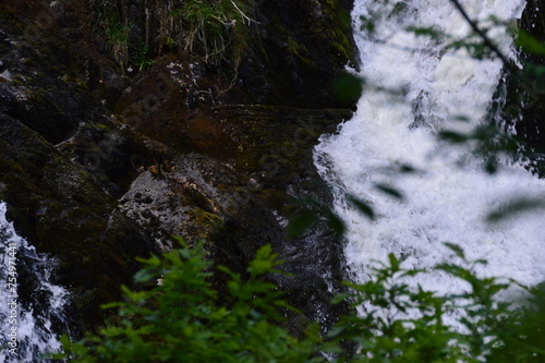 waterfall in the forest