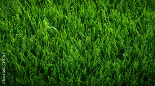 A lush green field of grass with a few blades of grass visible