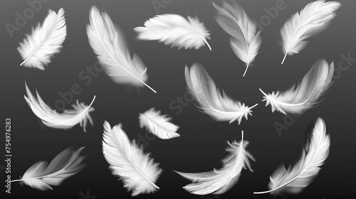 Soft white feathers, realistic modern illustration of angels, geese, swans, and doves. Lightweight feather set, realistic illustration with white feathers. photo