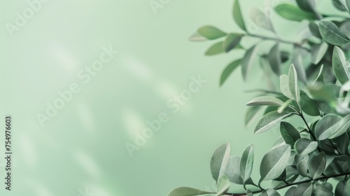 Close-up of fresh green leaves for a vibrant nature background. Botanical beauty with green leaves and soft focus backdrop. Nature's simplicity captured in a lush green leaf close-up.