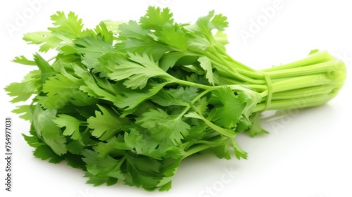 a bunch of green celery on a white background with a clipping path to the top of the image.