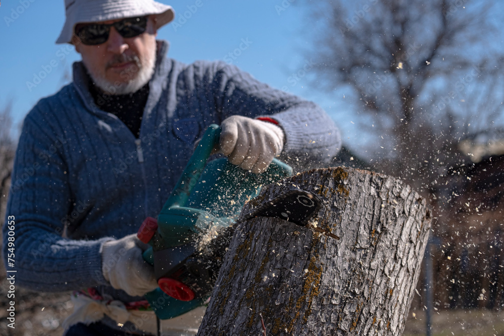 Chain saw operation. A saw is sawing off part of an old tree in the background by the man who is holding it. Sawdust flies in different directions. - obrazy, fototapety, plakaty 