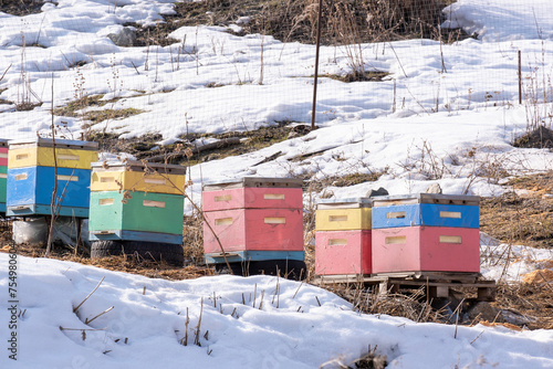 Bright bee hives in the mountains among the snow.