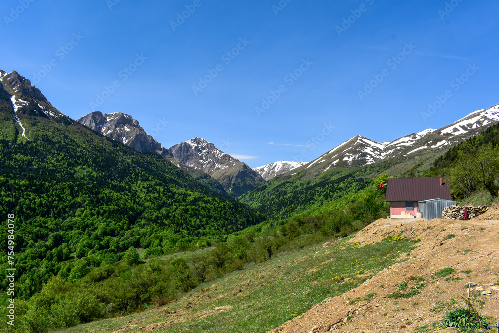 Nature landscape of Leshnica, Sar Planina Mountain, Macedonia