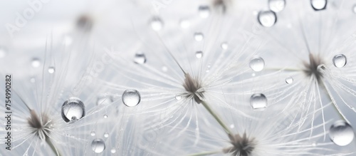 A macro shot of a dandelion with dew drops on its petals, showcasing the beauty of moisture frozen in transparent material. A perfect blend of science and nature