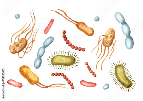 Beneficial prebiotic bacteria set. Watercolor hand drawn illustration, isolated on white background photo