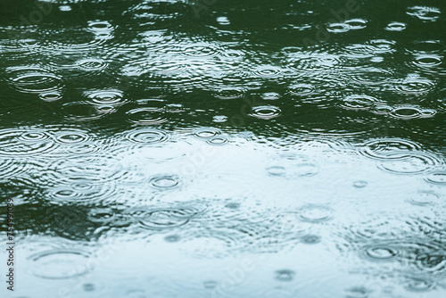 Raindrops falling on a calm water surface during a gentle rain