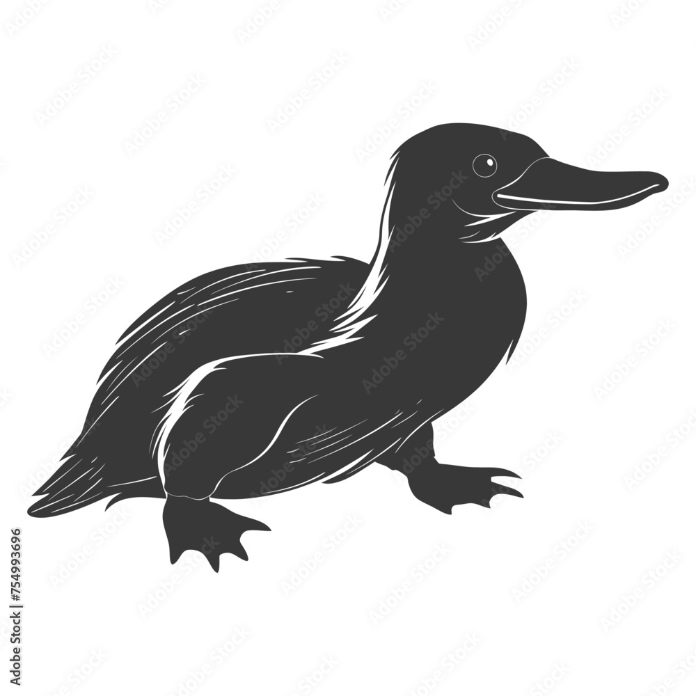 Fototapeta premium Silhouette platypus animal black color only full body