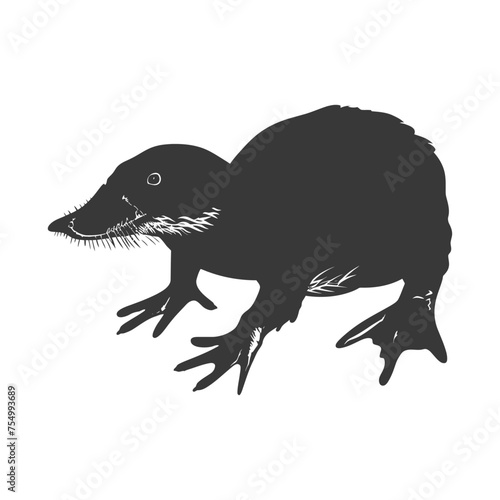 Silhouette platypus animal black color only full body