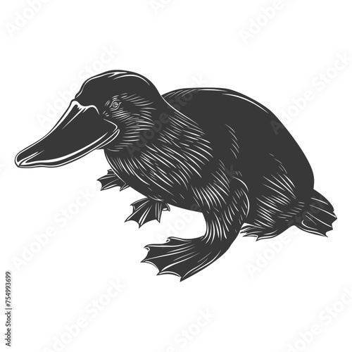 Silhouette platypus animal black color only full body