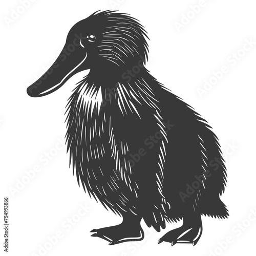 Silhouette platypus animal black color only full body