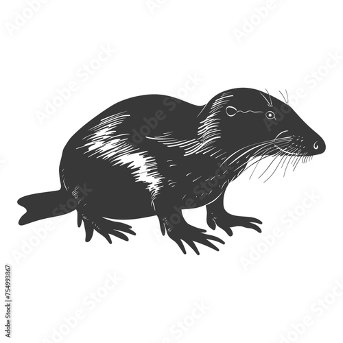 Silhouette platypus animal black color only full body