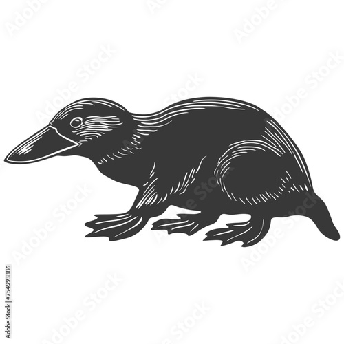 Silhouette platypus animal black color only full body