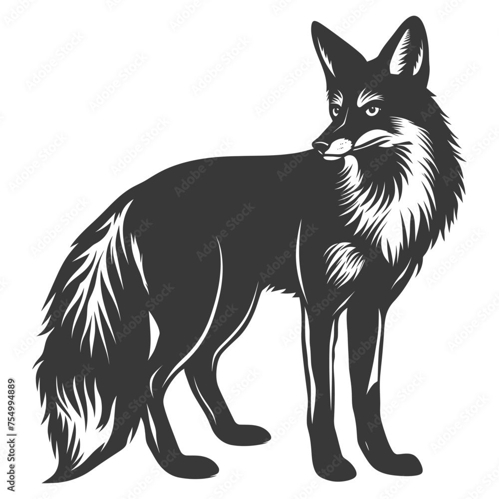 Silhouette red fox animal black color only full body Silhouette red fox animal black color only full body