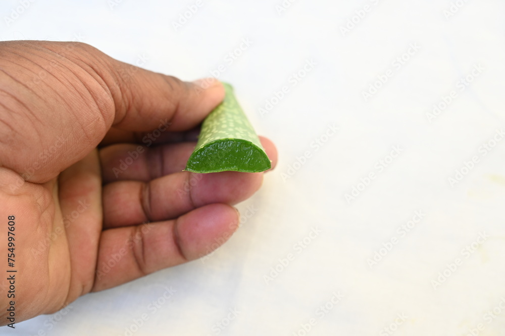 Aloe vera slices. Many Ayurvedic medicines are made using its juice. Its make topical medications for skin conditions, such as burns, wounds, frostbite, rashes, psoriasis, cold sores, or dry skin.
Aloe vera slices. Many Ayurvedic medicines are made using its juice. Its make topical medications for skin conditions, such as burns, wounds, frostbite, rashes, psoriasis, cold sores, or dry skin.