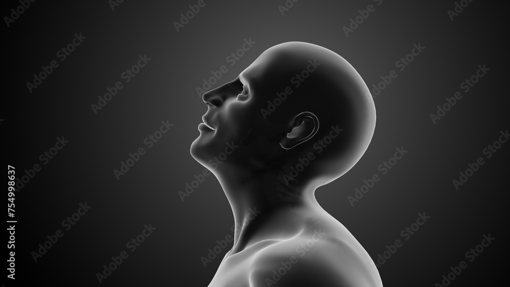 Cervical spine or neck injuries Cervical spine or neck injuries