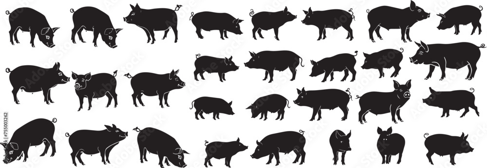 Obraz premium Set of Pig Silhouette Collection stock illustration 