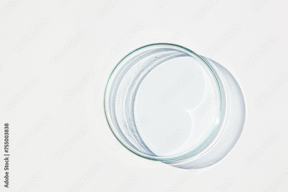 An empty petri dish on a light background.