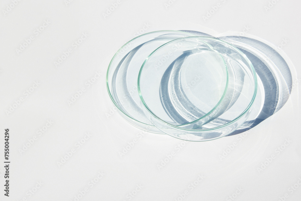 Empty Petri dish. On a white background. Bright sunlight. Deep shadows. Contrast. Laboratory. Petri dishes. Empty Petri dish. On a white background. Bright sunlight. Deep shadows. Contrast. Laboratory. Petri dishes.