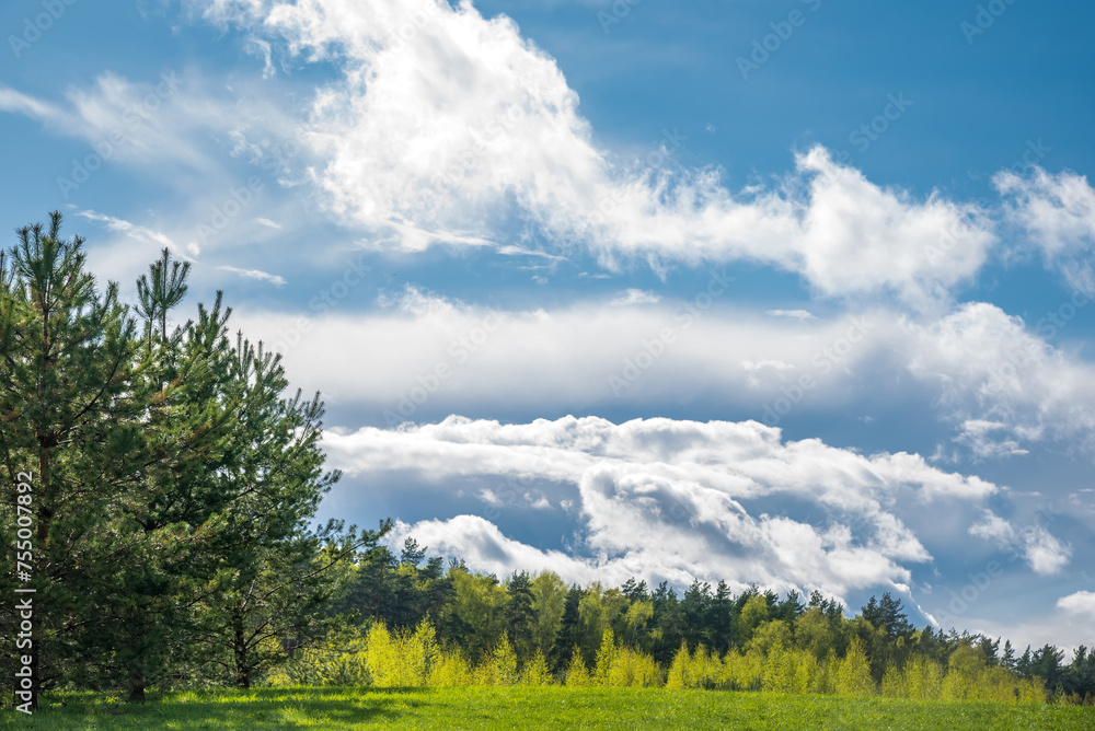 Spring forest and green grass against the background of beautiful clouds with blue skies. Spring natural landscape. Spring forest and green grass against the background of beautiful clouds with blue skies. Spring natural landscape.