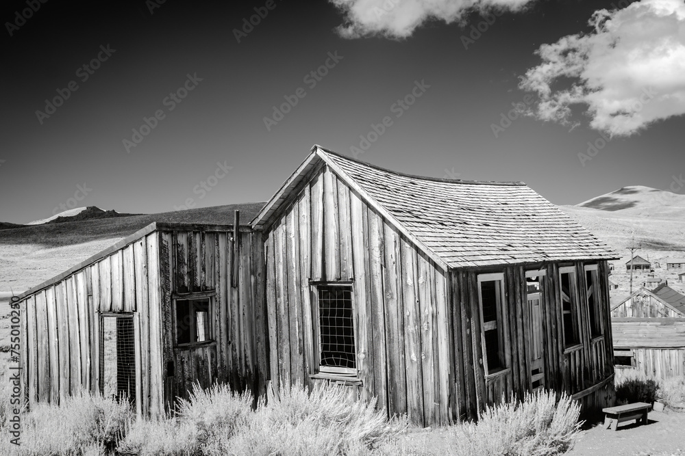 Obraz premium Old prospectors cabin in the desert Black and White