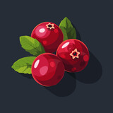 Cranberry isolated on dark background. Realistic vector illustration.