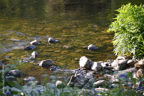 stones in river 