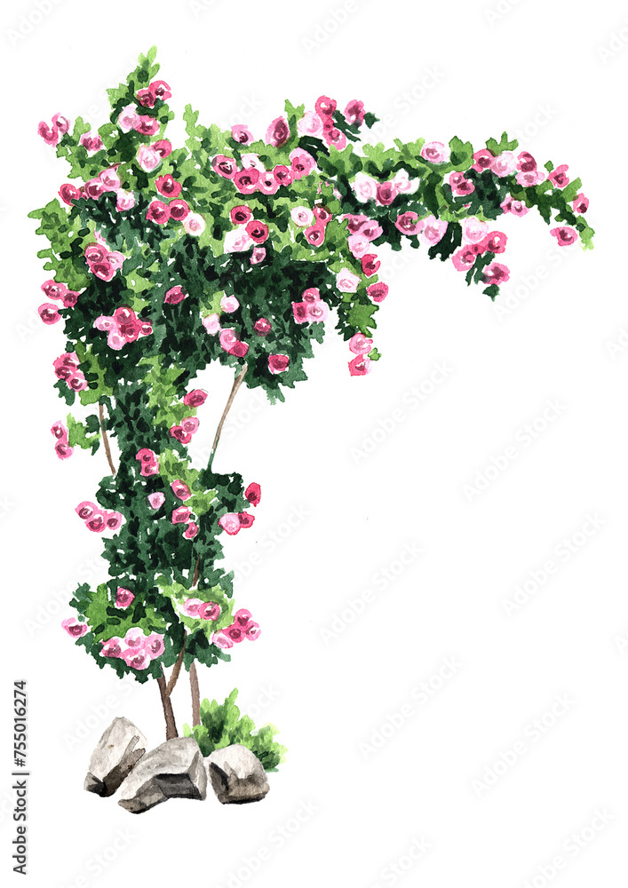 Naklejka premium Climbing rose arch, Hand drawn watercolor illustration isolated on white background