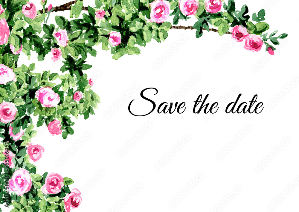 Climbing roses, save the date card with copy space, Hand drawn watercolor illustration Climbing roses, save the date card with copy space, Hand drawn watercolor illustration