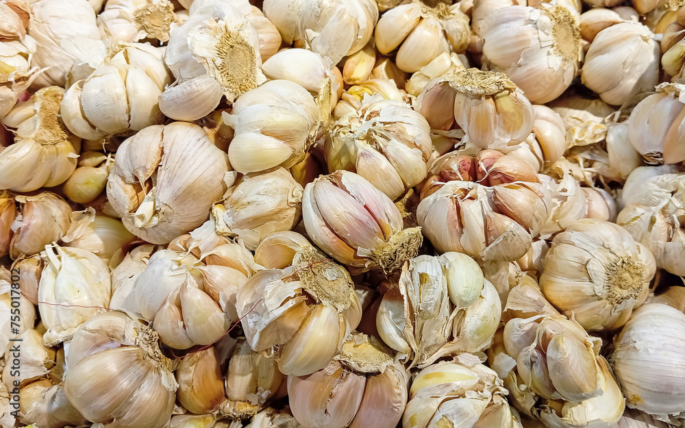 There are lots of garlic in supermarkets There are lots of garlic in supermarkets