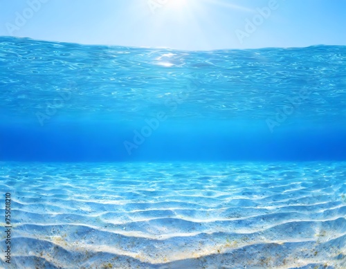 Undersea world. Landscape underwater in the sea or ocean. Marine nature background. © SolaruS