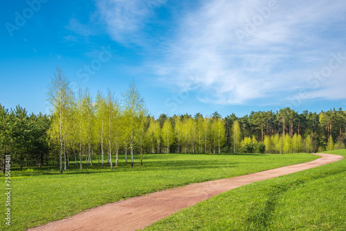 Fototapeta Naklejka Na Ścianę i Meble -  Spring forest and green grass and dirt path against the background of beautiful clouds with blue skies. Spring natural landscape.