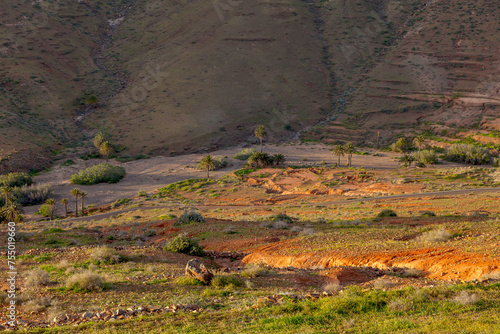 Barranco de las Peñitas, Fuerteventura photo