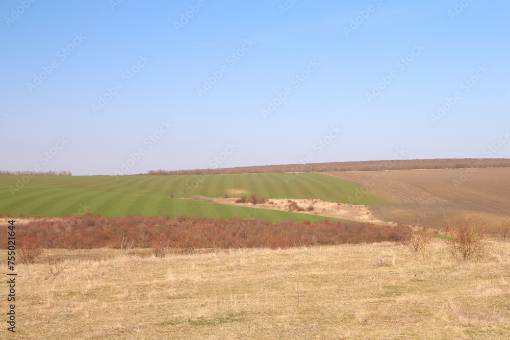 A field with a field of crops