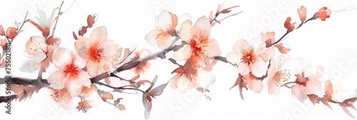 Watercolor illustration of a branch of a blossoming peach on a white background, spring flowers