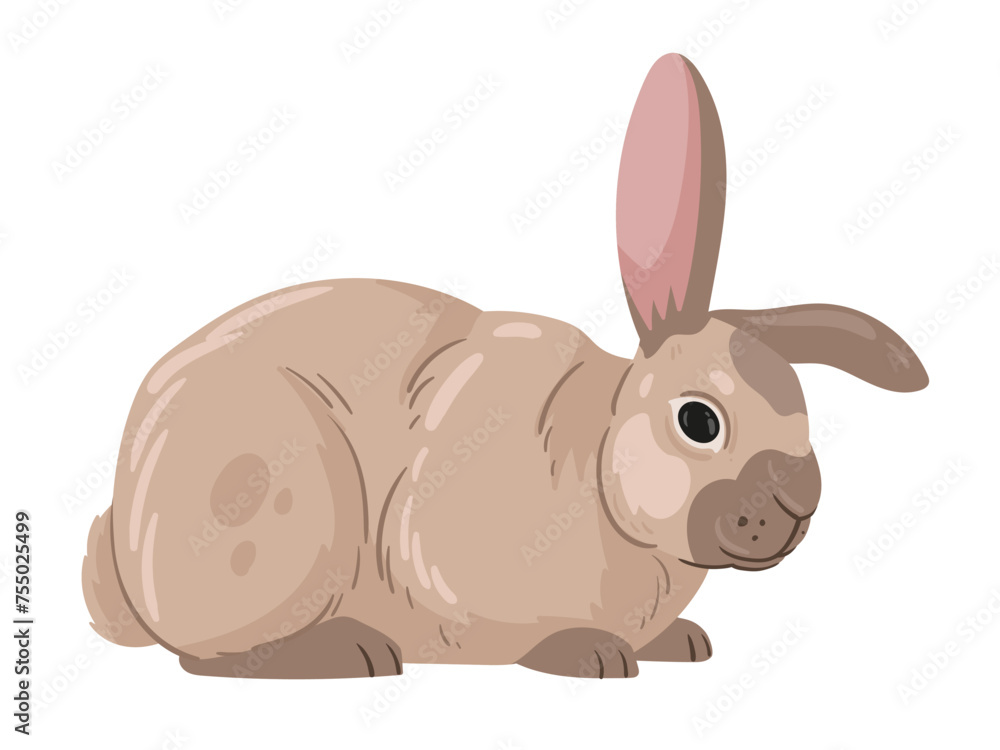 Fototapeta premium Spring Easter rabbit. Cute bunny, fluffy eared animal, domestic bunny flat vector illustration. Easter holiday rabbit on white