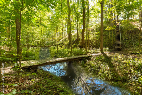 bridge in the forest along hiking trail 