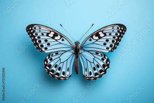 Vibrant Wings of Beauty: A Colorful, Isolated Butterfly with Delicate, Artistic Patterns on Its Wings, Flying Gracefully Against a Bright Blue Background © SHOTPRIME STUDIO